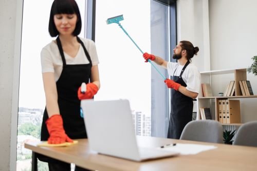 House/Apartment Cleaning