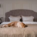 Cleaning Services Photo Gallery